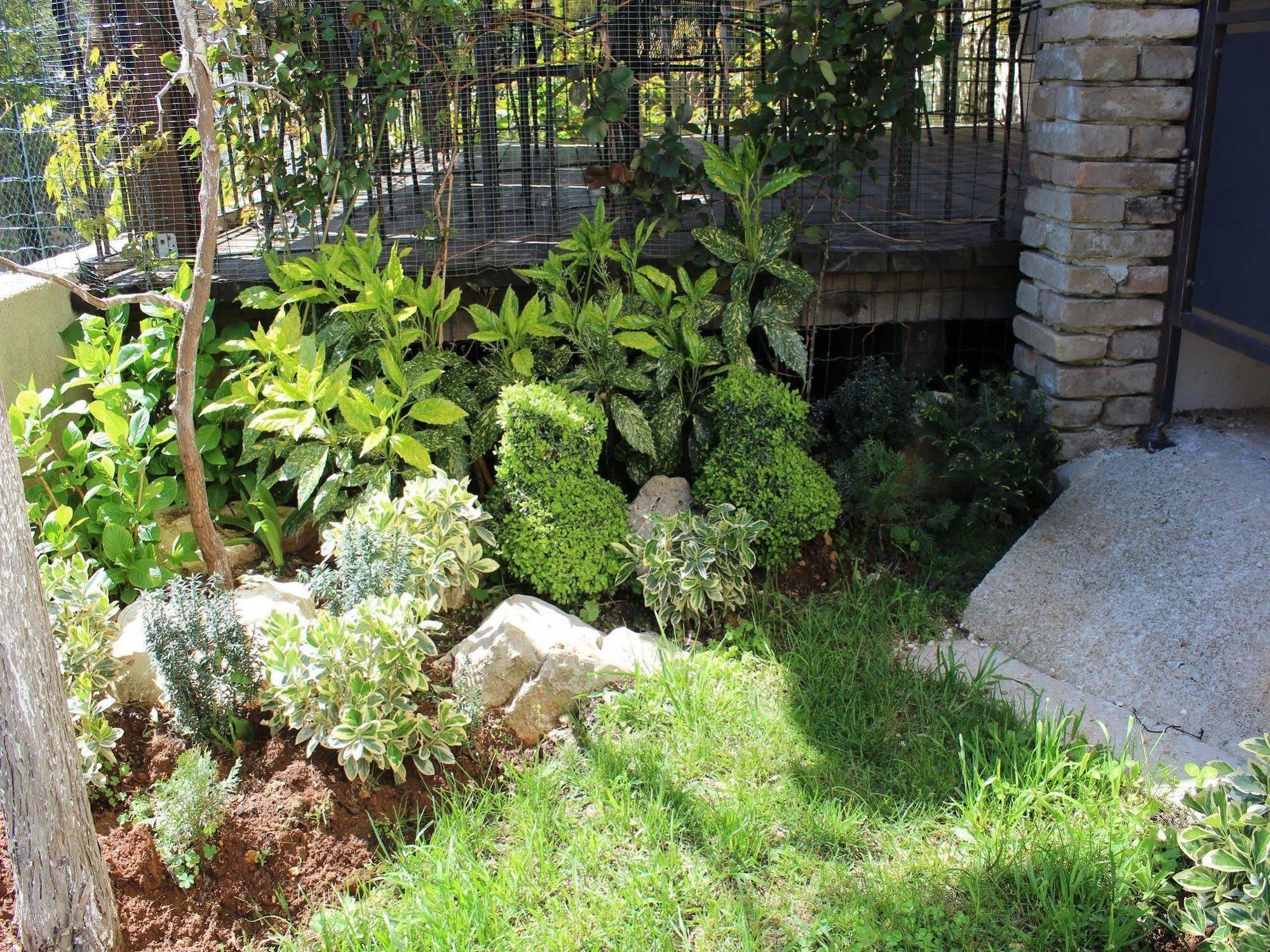 Rooms And Apartment Feral Ρόβινι Εξωτερικό φωτογραφία