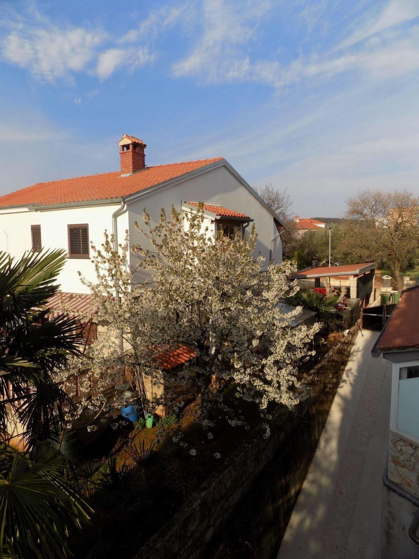 Rooms And Apartment Feral Ρόβινι Εξωτερικό φωτογραφία