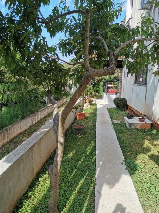 Rooms And Apartment Feral Ρόβινι Εξωτερικό φωτογραφία